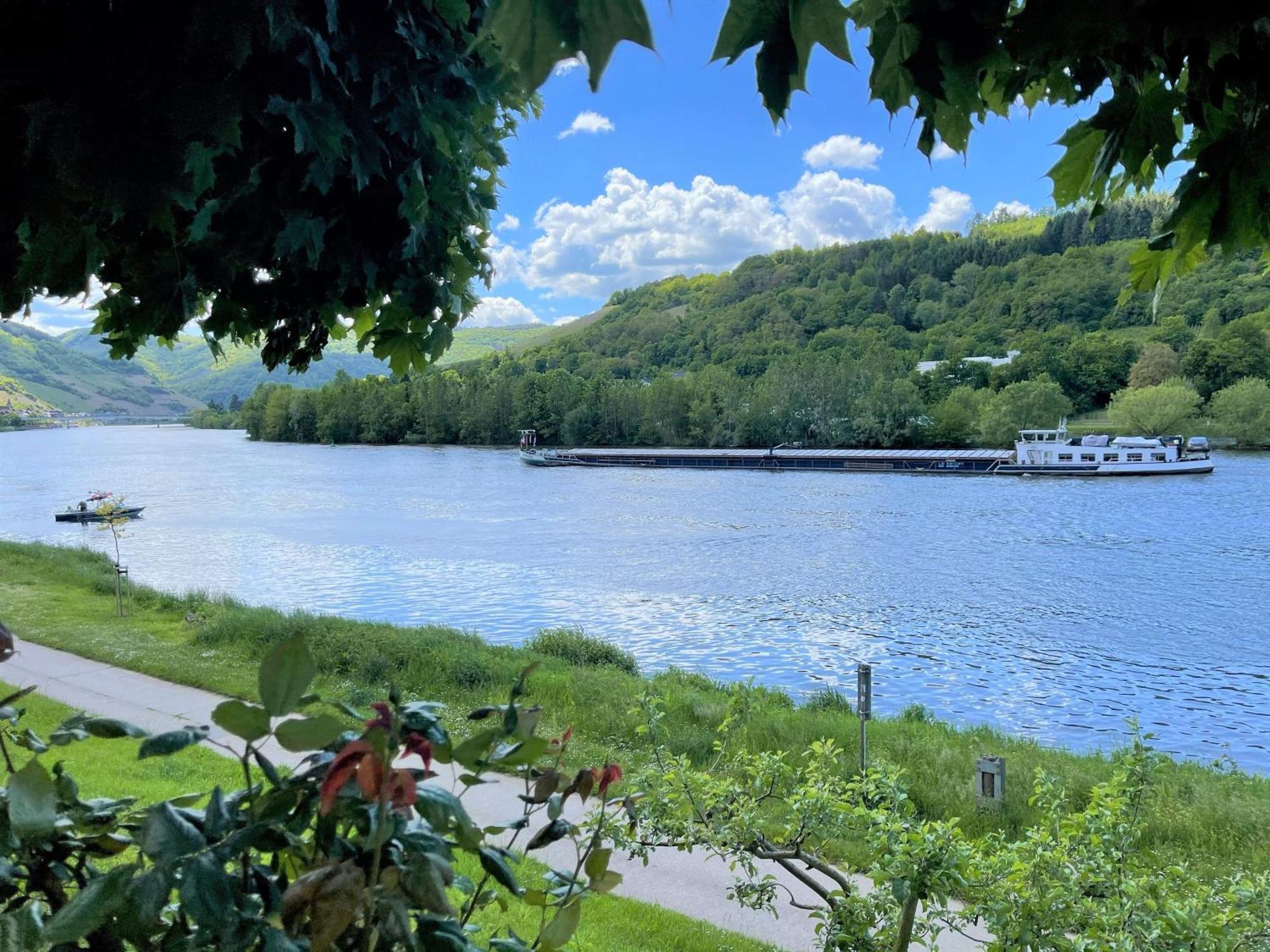 Hotel Garni "Cafe Im Hamm" Zell an der Mosel Oda fotoğraf